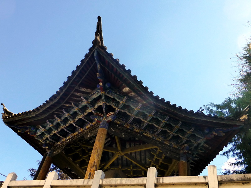 p1130944.jpg