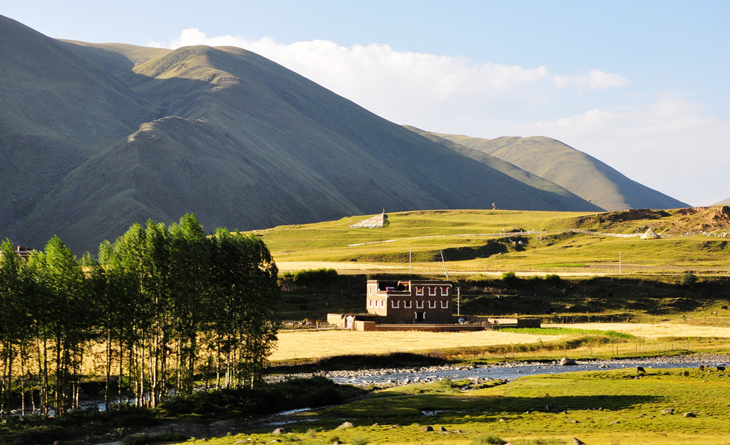 dsc_0799a.jpg