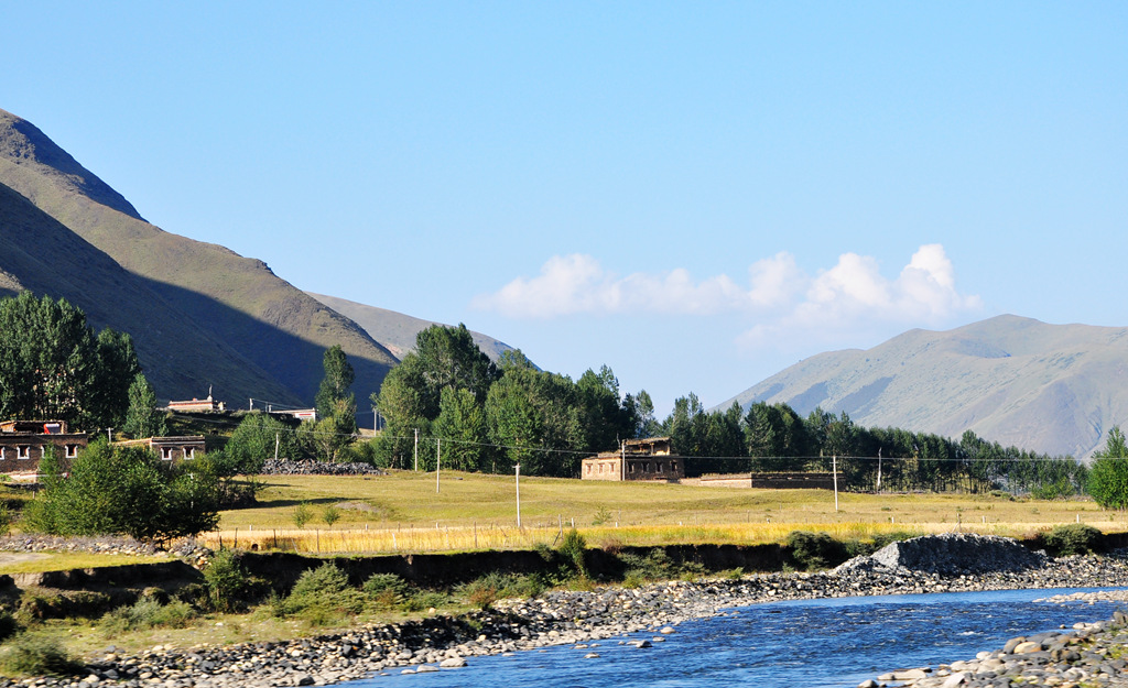 dsc_0784a.jpg