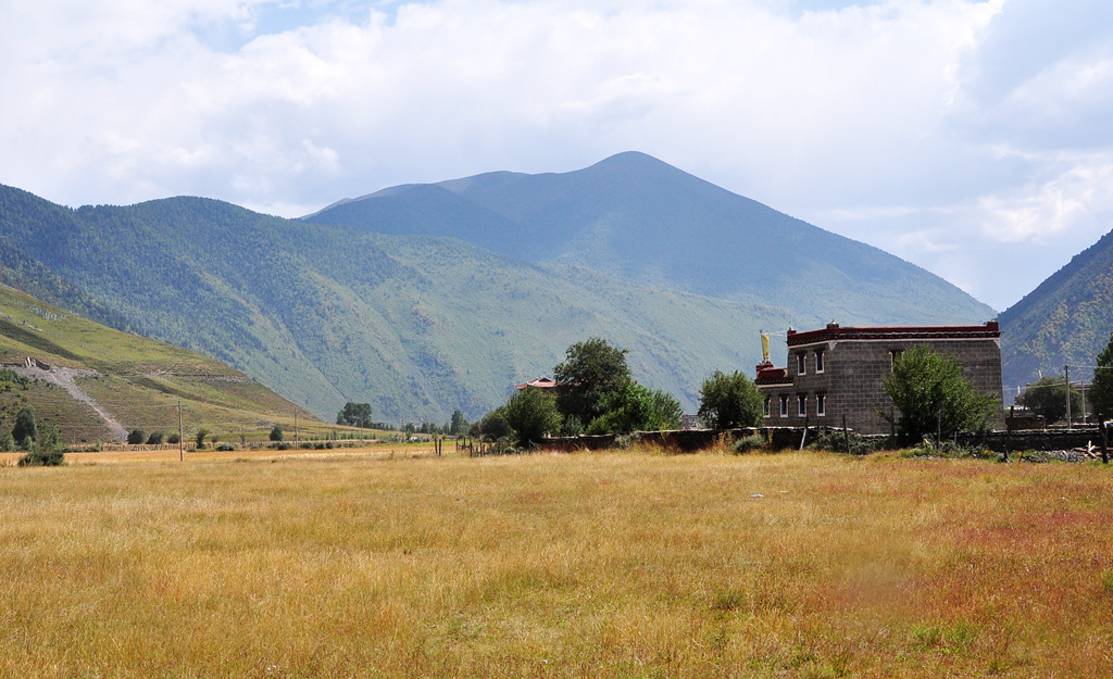 dsc_0709a.jpg