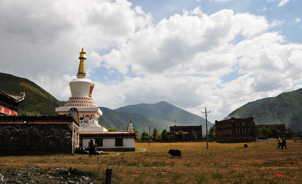 dsc_0687a.jpg