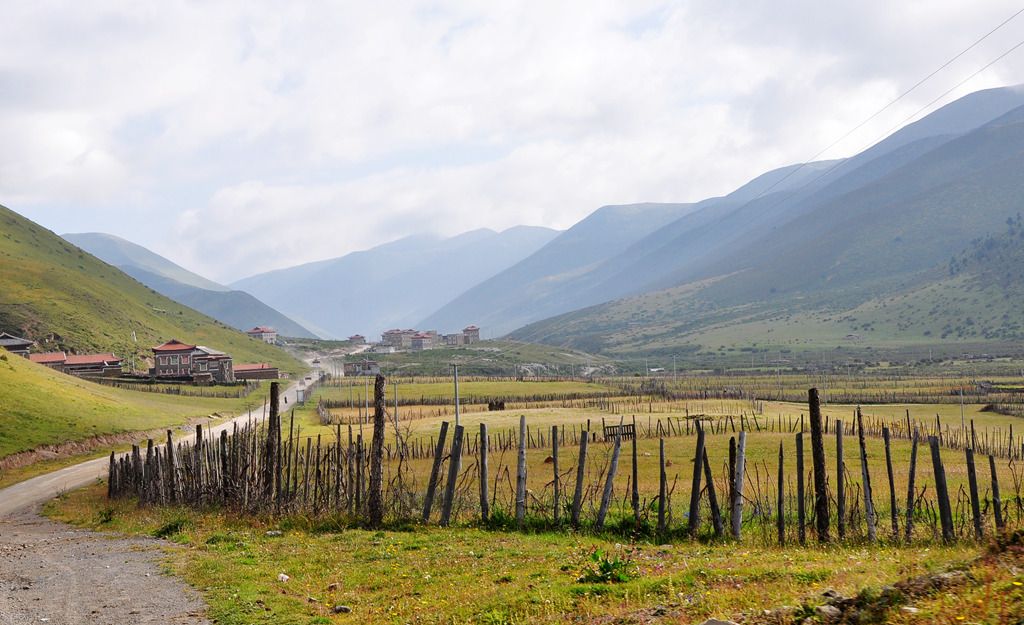 dsc_0380a.jpg