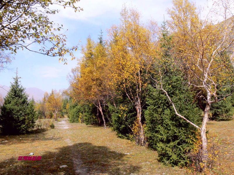 p12901741.jpg