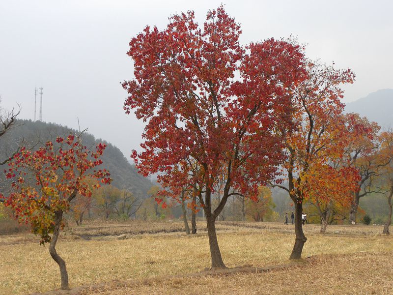 j 125_.jpg