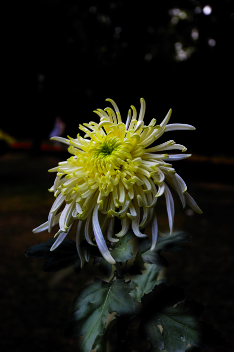 _dsc3404.jpg
