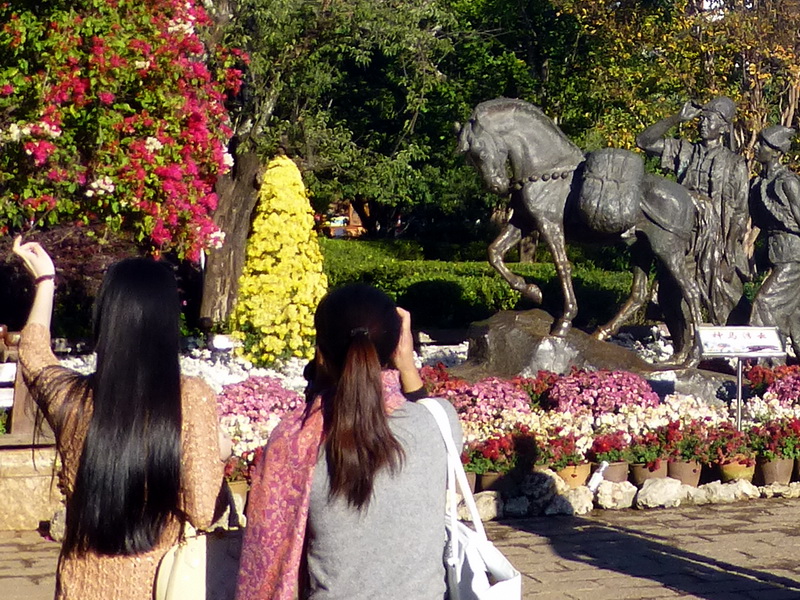 p1140047.jpg
