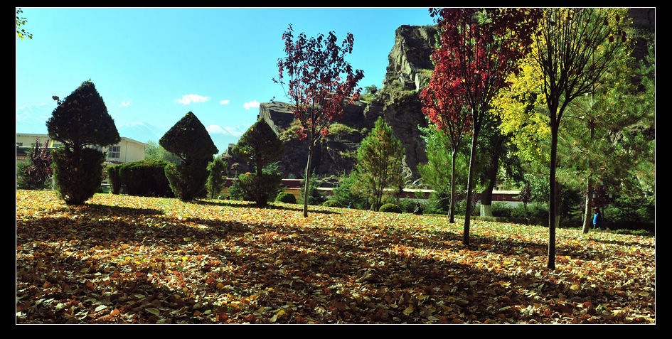 Ƭ 0491.jpg
