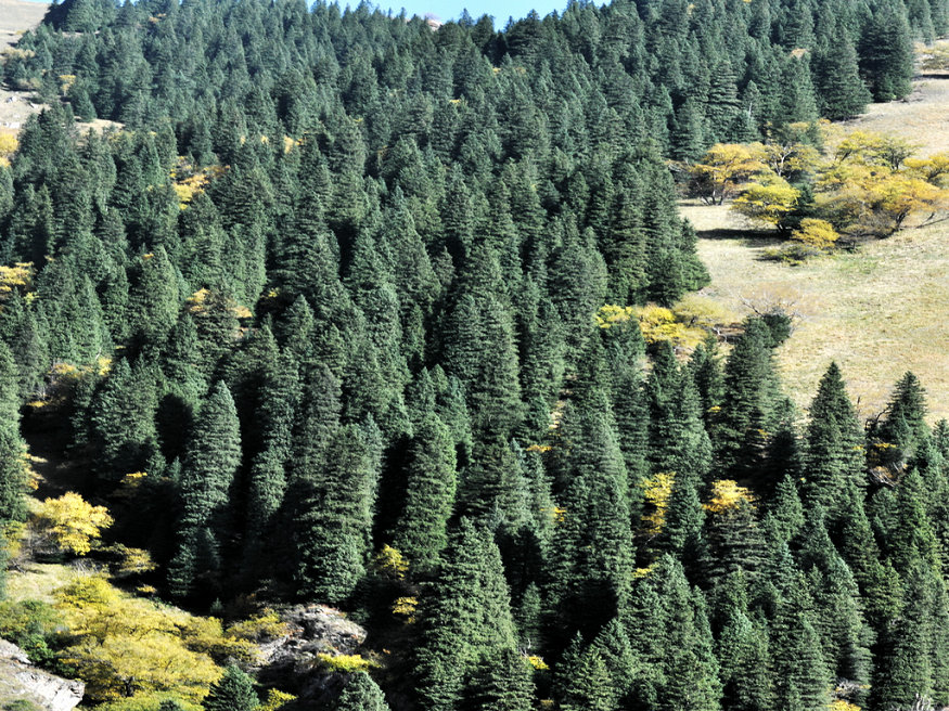 dsc_4455.jpg