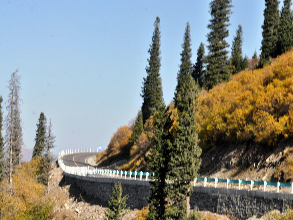 dsc_4512.jpg
