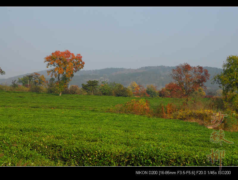 dsc_0029.jpg