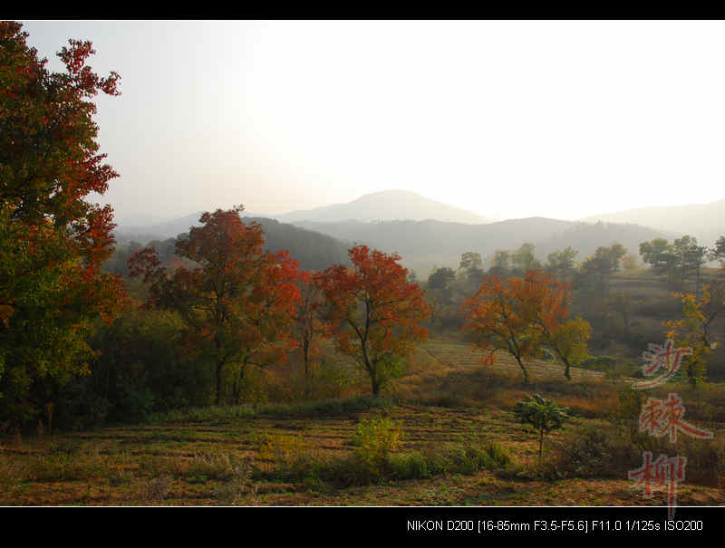 dsc_0042.jpg