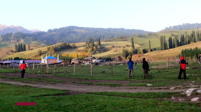 p12902451.jpg