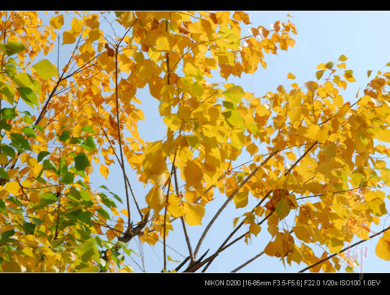 dsc_0315.jpg