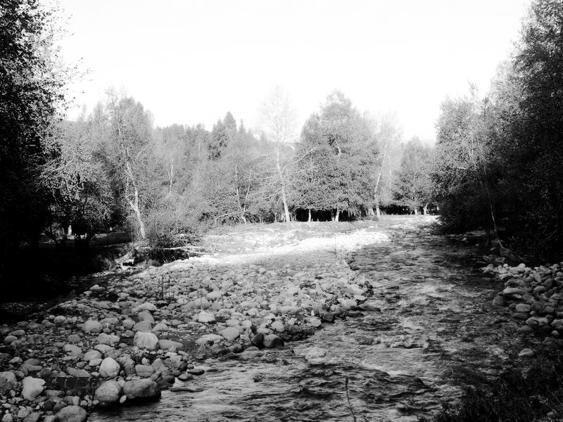 p12902531.jpg