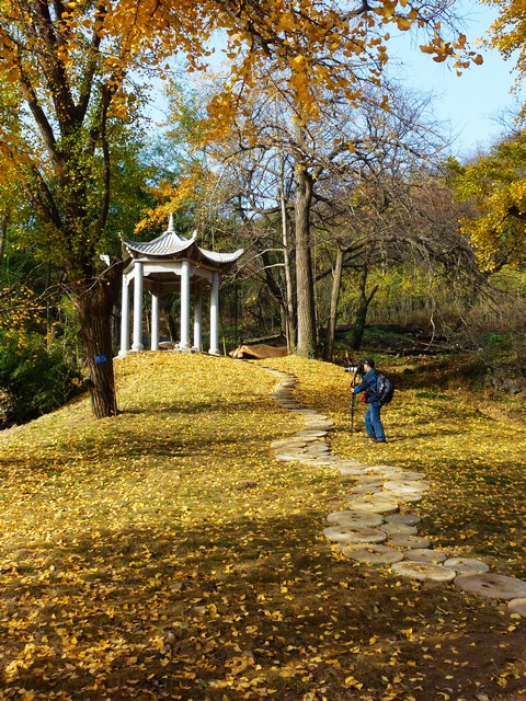 p1060865.jpg
