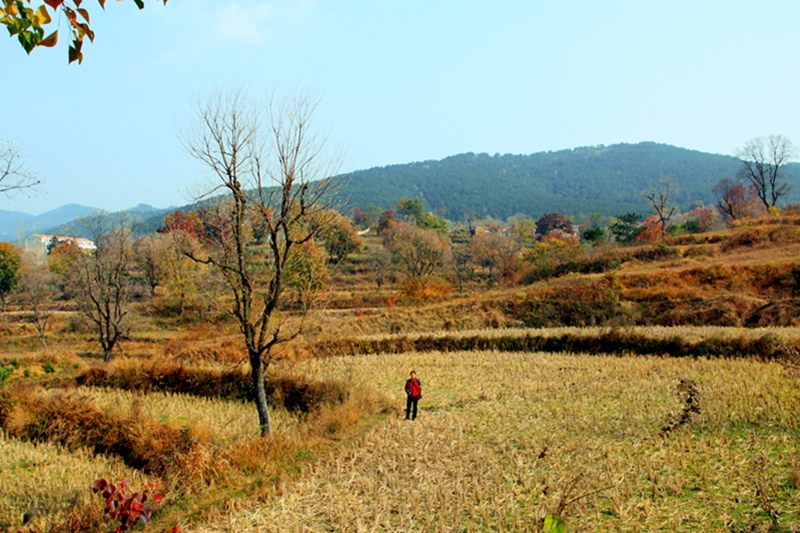 2012.12.5 034.jpg