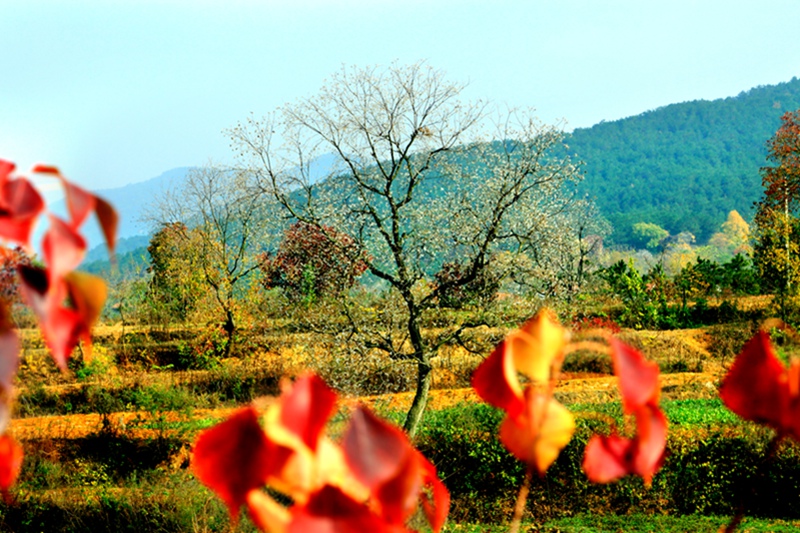   2012.12.5 017.jpg