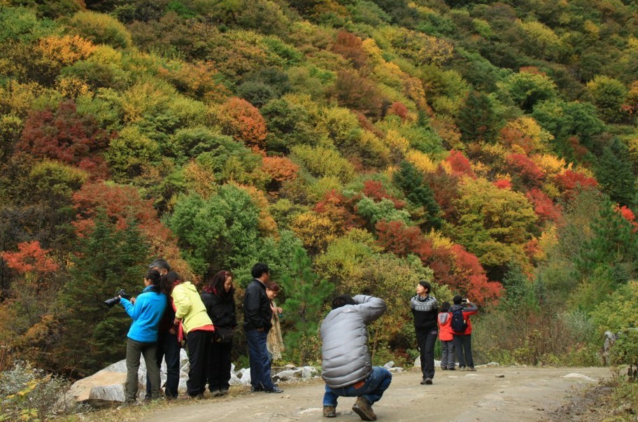 qqͼƬ20131118152707.jpg