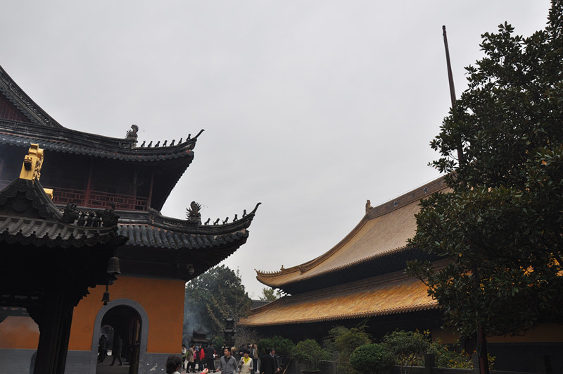 dsc_0423_.jpg