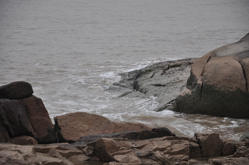 dsc_0685_.jpg