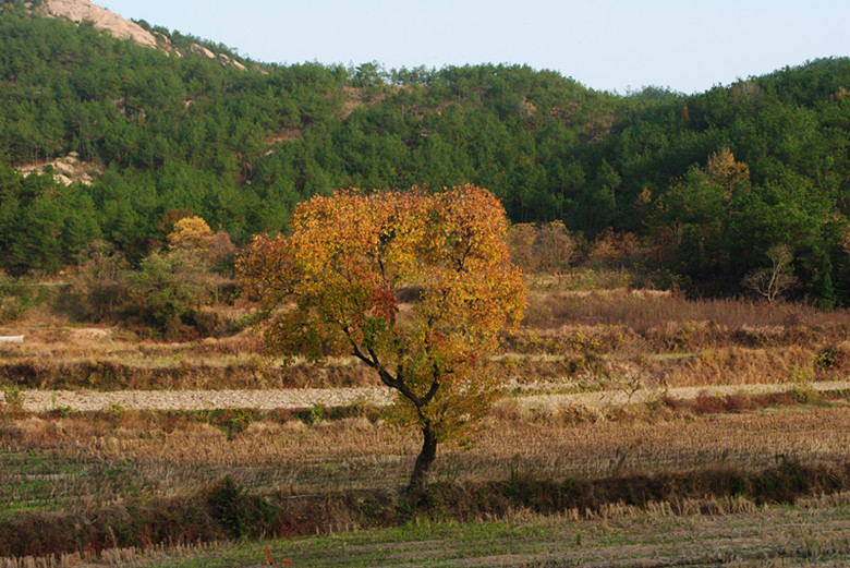 dsc_0124__.jpg