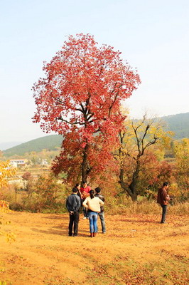 img_9880_СС_СС.jpg