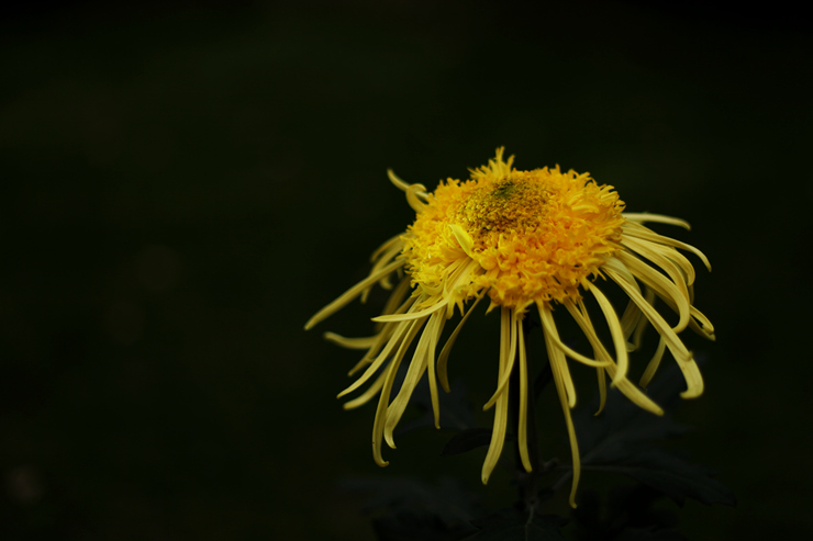 img_5772_.jpg