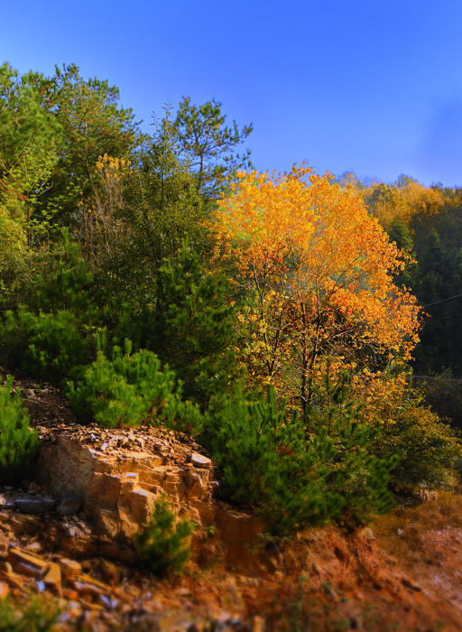 _dsc3651.jpg