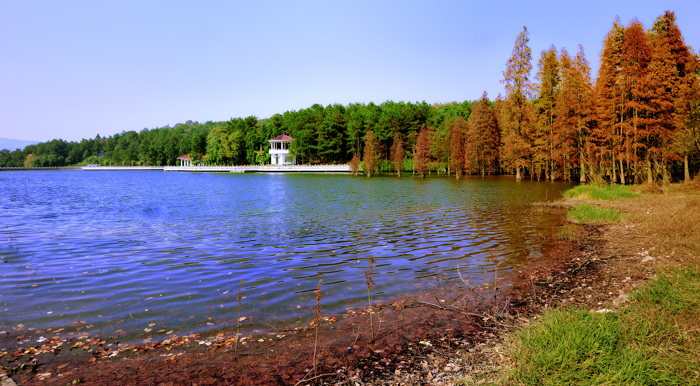 _dsc3720.jpg