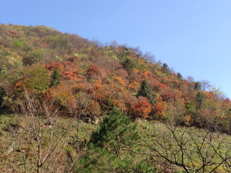 img_0988_С.jpg