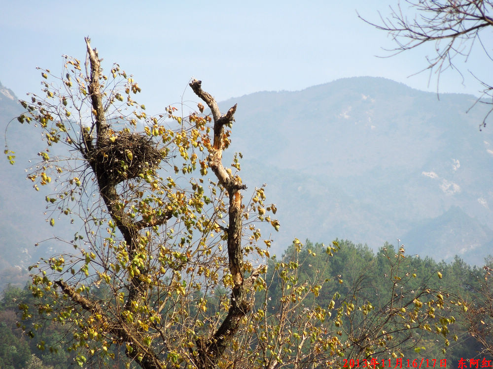 dscn1004.jpg
