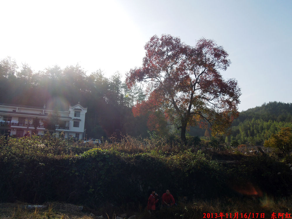 dscn1021.jpg