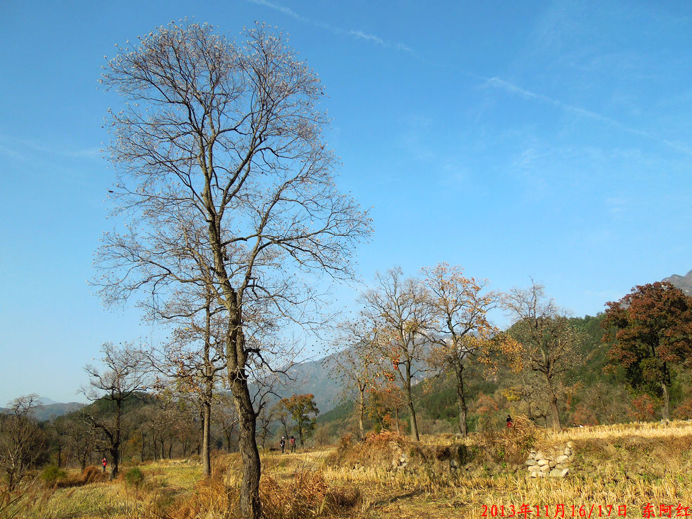 dscn1029.jpg
