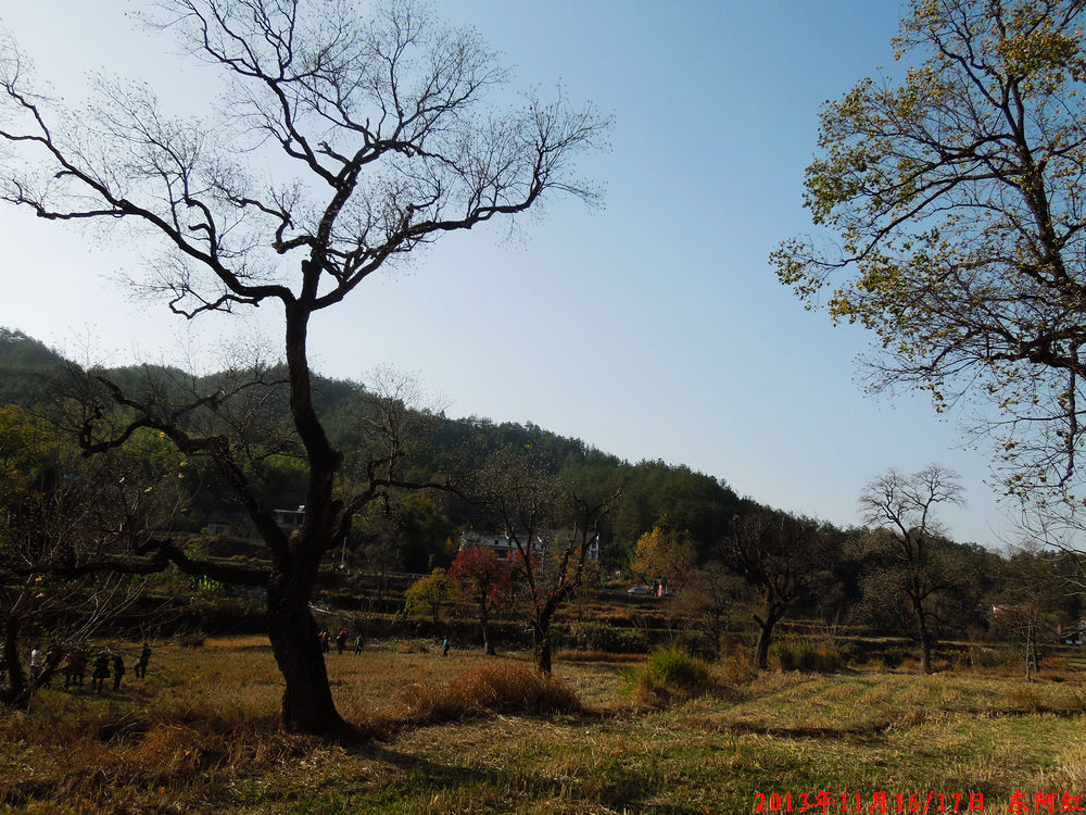 dscn1039.jpg