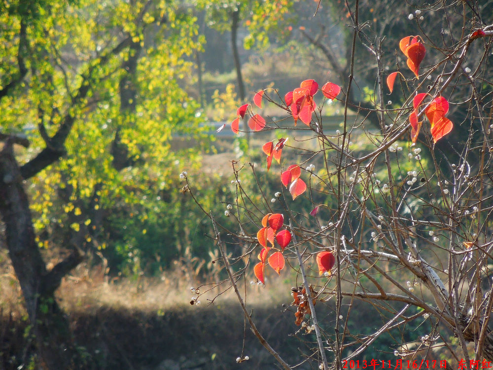 dscn1076.jpg