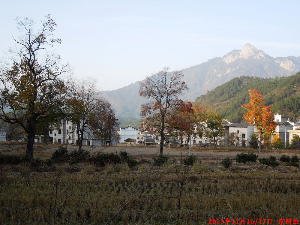 dscn1105.jpg