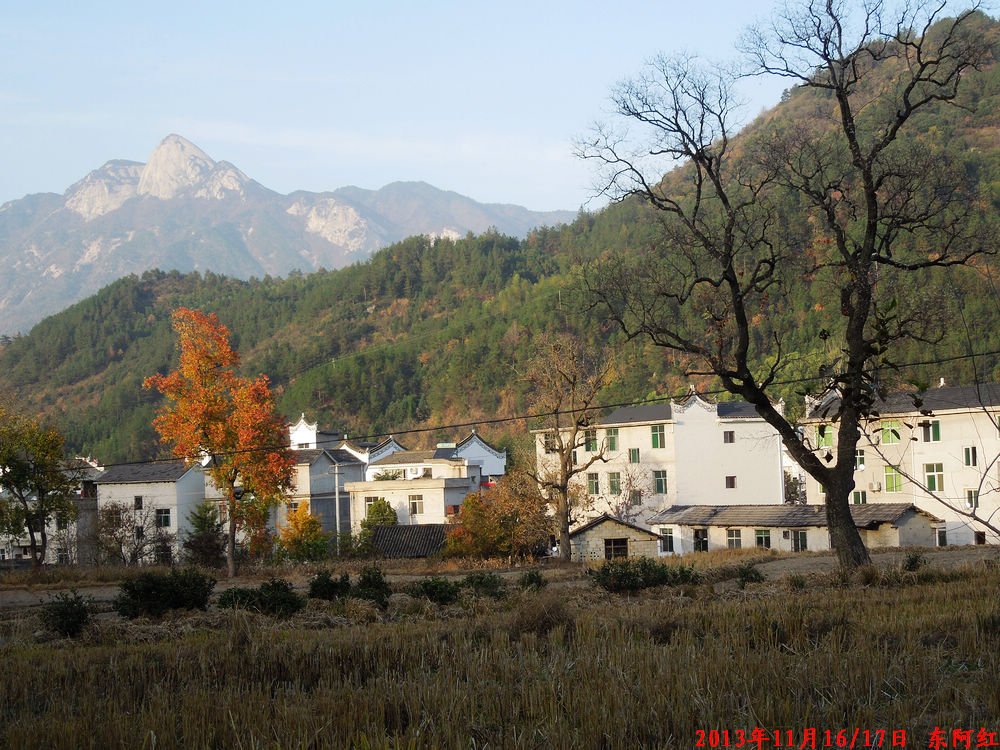 dscn1106.jpg