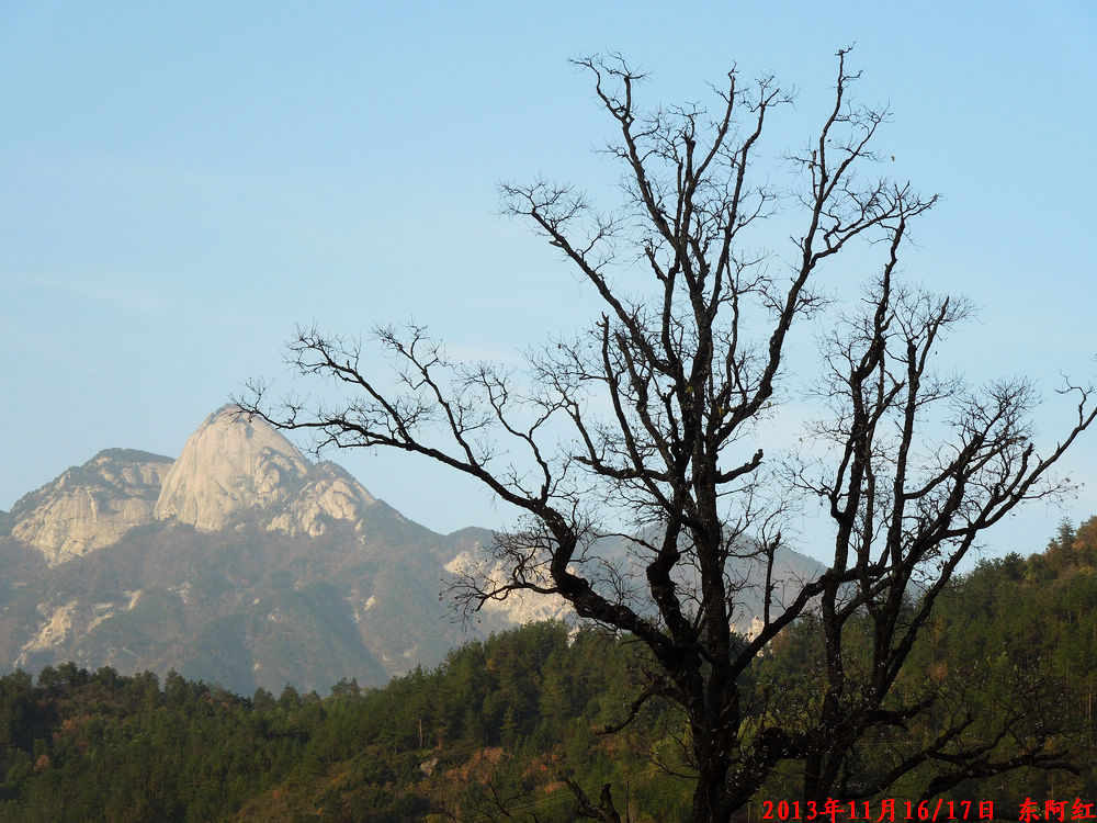 dscn1111.jpg