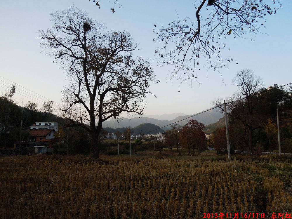 dscn1131.jpg