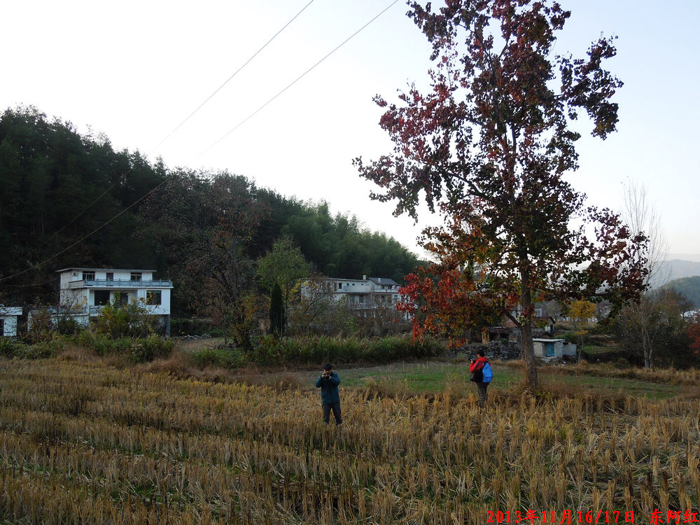 dscn1132.jpg