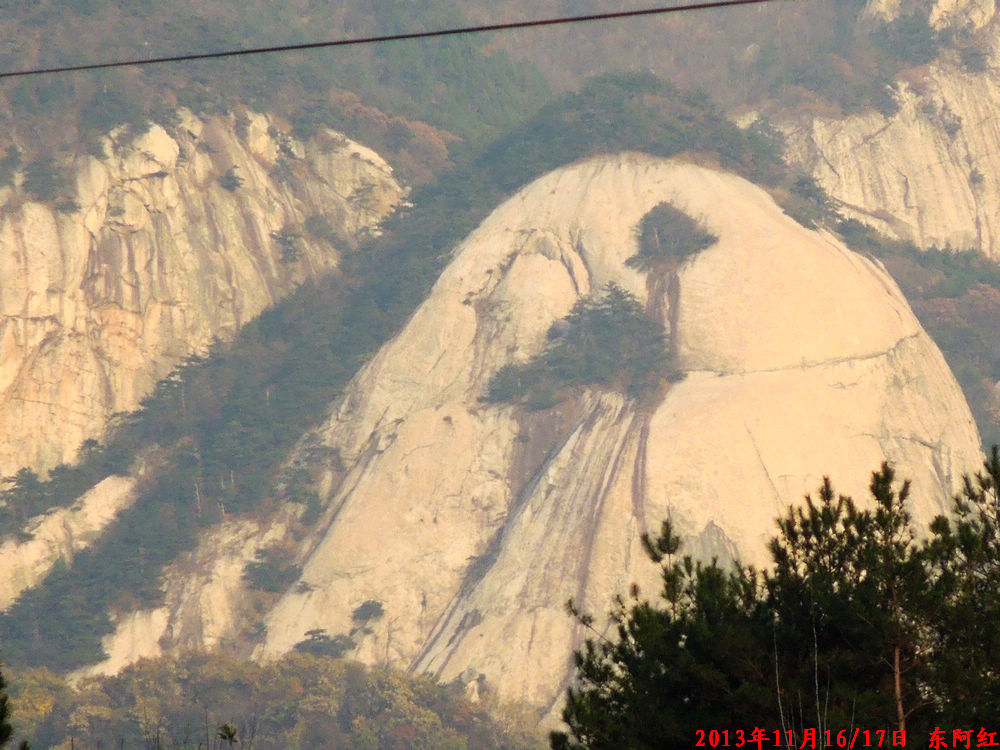 dscn1142.jpg