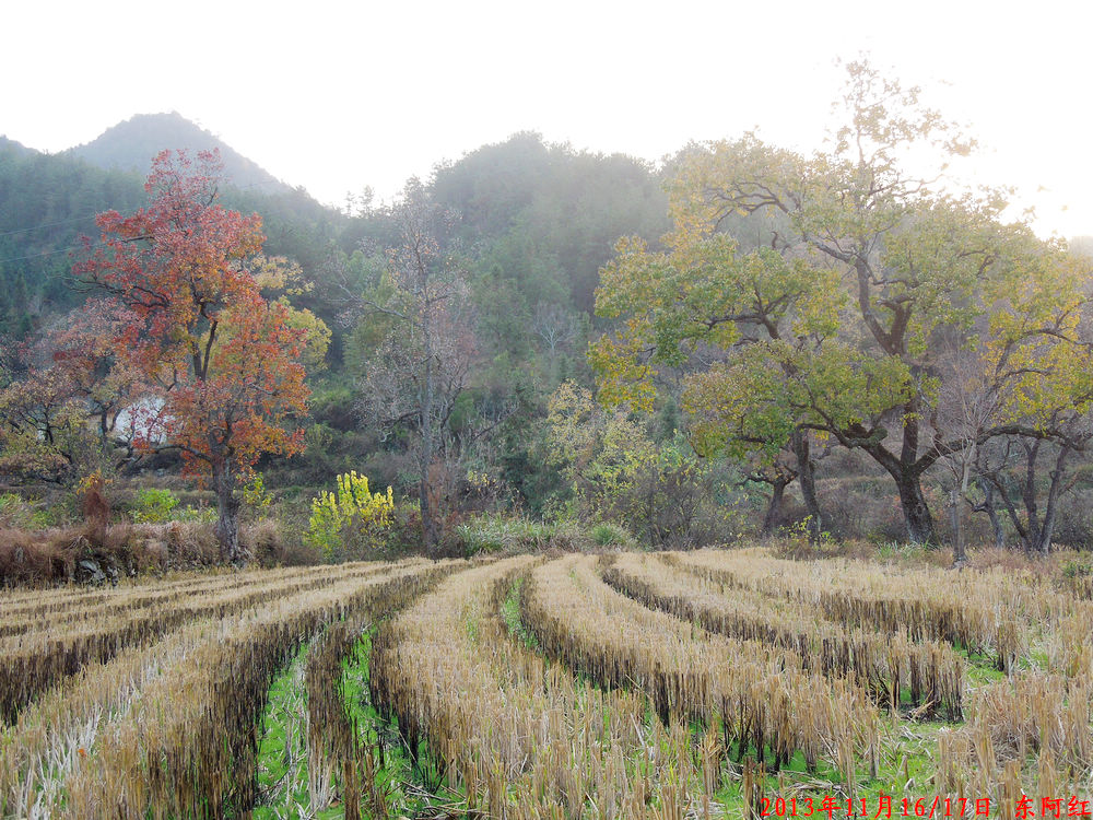dscn1149.jpg