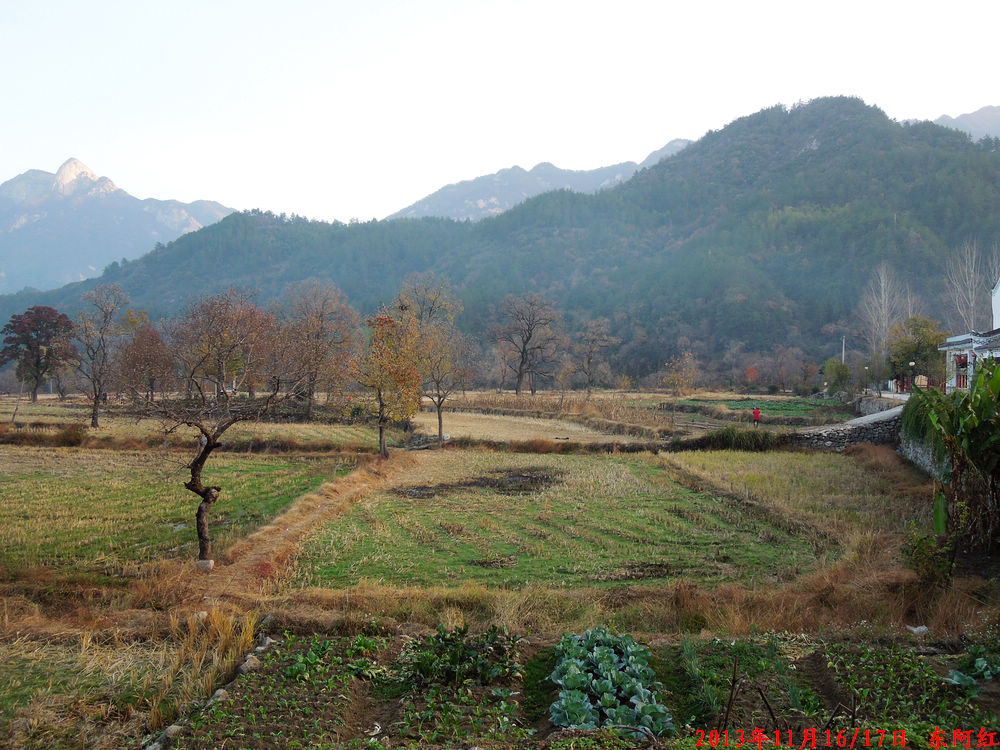 dscn1174.jpg