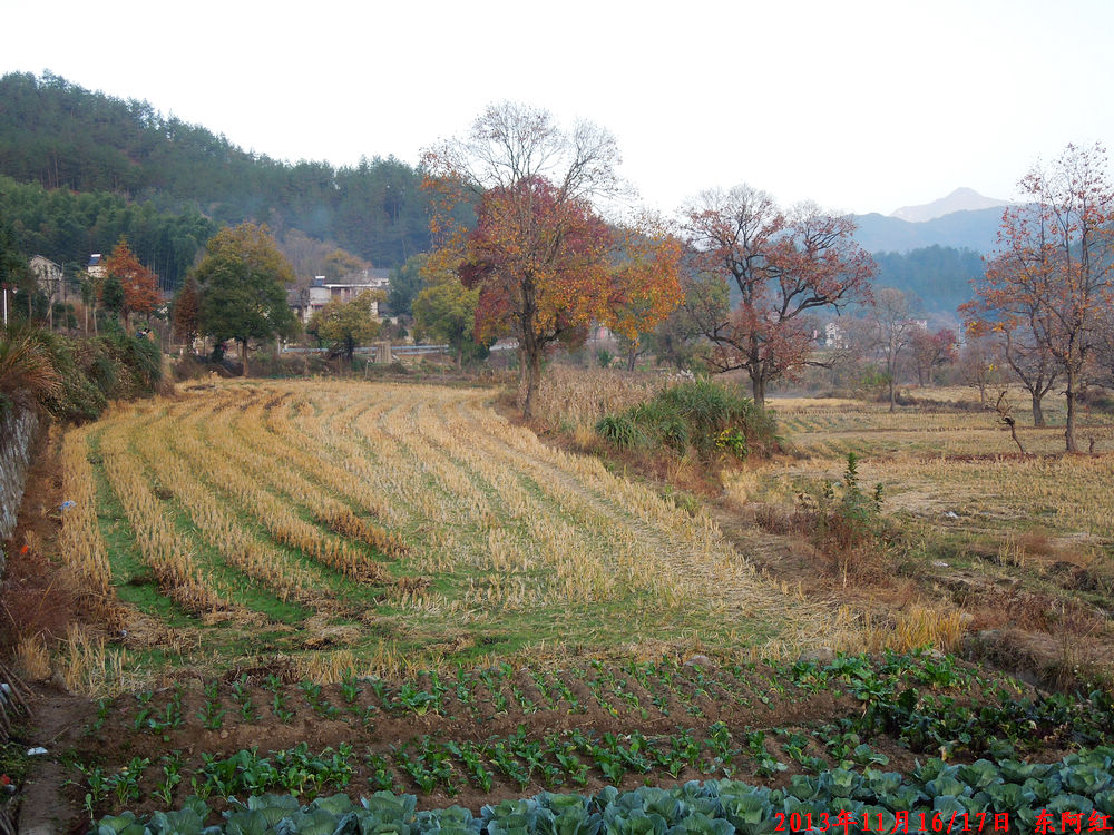 dscn1173.jpg