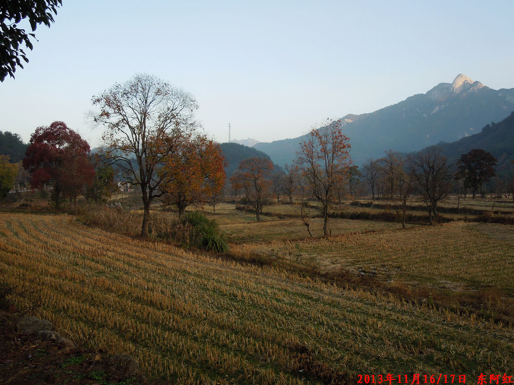 dscn1175.jpg