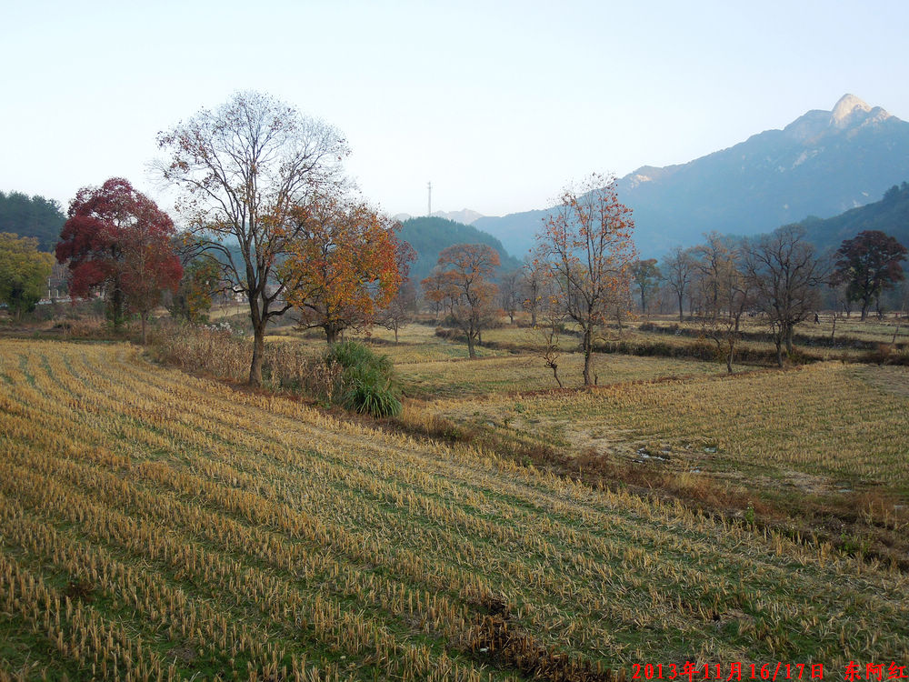 dscn1176.jpg