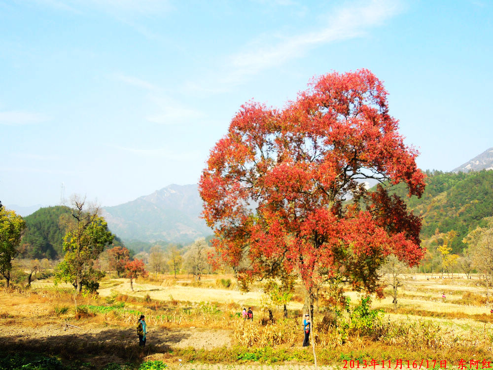 dscn0932.jpg