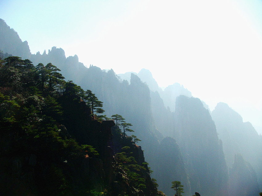 dsc02280_.jpg