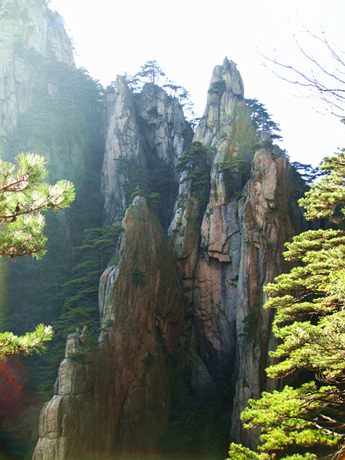 dsc02311_.jpg