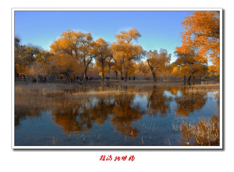 img_7259_.jpg